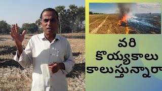 వరి కొయ్యకాలు కాల్ఛొద్దు  Karshaka Nestham [upl. by Siletotsira]