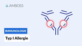 Soforttypreaktion Typ I Allergie  Biochemie  AMBOSS Video [upl. by Hyams]