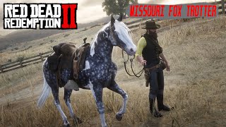 Missouri Fox Trotter RED DEAD REDEMPTION 2 PS4 [upl. by Tezile620]