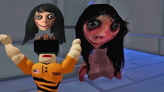 Momo Whatsapp Horangi Nak Datang Rumah Horangi MOMOEXE VR VR MALAYSIA [upl. by Euqenimod]