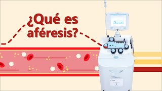 ¿Qué es Aféresis [upl. by Salomi]