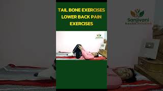 tail bone exercises  tailbonepain tailbonereliefexercises coccydynia [upl. by Tneciv]