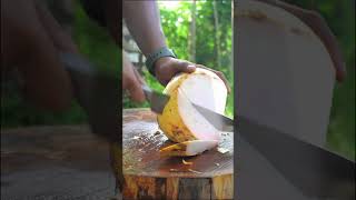 fantastic satisfying coconut cutting  Best Knife For Cutting [upl. by Myo]