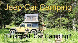 Jeep Wrangler Car Camping in the Ochoco Mountains  Bushcraft Car Camping [upl. by Cordy924]