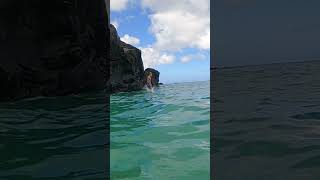 Waimea Bay Rock Jump [upl. by Yruoc]