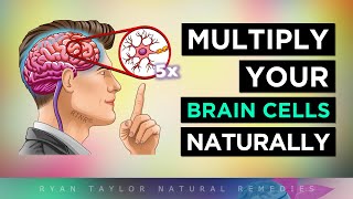 12 Ways To MULTIPLY Your BRAIN CELLS [upl. by Sayres]