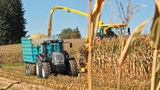 Maisernte mit VALTRA Traktoren  AMPLandtechnik [upl. by Sucitivel]