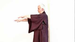 Guigen Qigong  Trailer [upl. by Dickens]