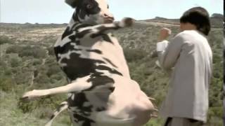 The Funny Man vs Cow Fight HQ [upl. by Jolene]