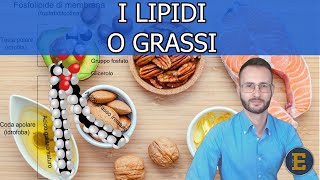 006 I Lipidi livello base [upl. by Coridon778]