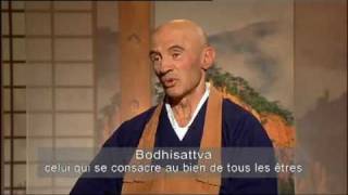 Sagesses Bouddhistes  Le 2ieme voeu du bodhisattva [upl. by Margalo]