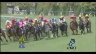 Japanese 1000 Guineas Gr1 120409 Buena Vista [upl. by Camp6]