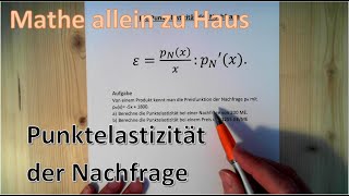 Punktelastizität der Nachfrage [upl. by Nallek]