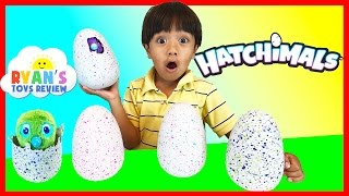 HATCHIMALS SURPRISE EGGS OPENING [upl. by Aisena]