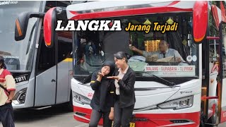 LANGKA Jarang Terjadi‼️Apa Jadinya Kalo Pramugari Berdua Bersatu [upl. by Ainaznat319]