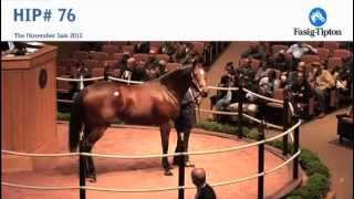 Havre de Grace sells for 10000000 at FasigTipton November Sale [upl. by Baylor733]