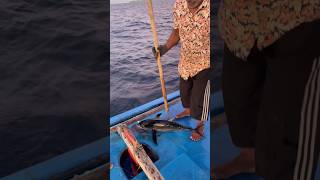 മീനിനെ ബോധം കെടുത്തിയത് കാണണോ shortsfeed malayalamfishing fishing malayalamfishingvideo fish [upl. by Rosina]