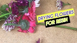 HOW TO DRY YOUR OWN FLOWERS FOR RESIN PROJECTS [upl. by Atnim613]