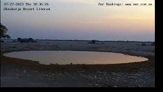 NWR Okaukuejo Waterhole LiveStream [upl. by Deeyn]