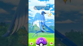 I Got wild SHINY GALARIAN ARTICUNO with The MASTER BALL [upl. by Nnaillek260]