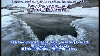 Dissolved organic matter is removed from the waste [upl. by Nodnnarb62]