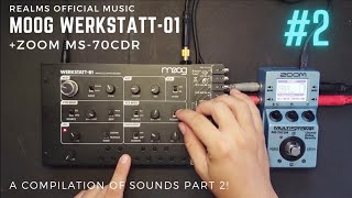 Moog Werkstatt01  Zoom MS70CDR  A Compilation Of Sounds PART 2 [upl. by Hoxsie508]