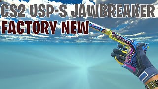 USPS Jawbreaker  CS2 Skin Showcase 587 [upl. by Artemla]