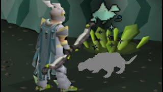 Obtained the Best Pet in OSRS [upl. by Aziul]