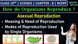 Class 10th Science  Asexual Reproduction  Chapter 8  How do Organisms Reproduce [upl. by Leihcar]