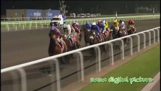 【ドバイワールドカップ 】遂に日本の競走馬がドバイで１着になった❗ [upl. by Lotsirk]