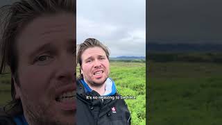 The best thing about living in Iceland 🇮🇸 iceland europe shorts [upl. by Berk]