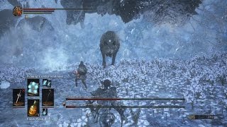 Dark Souls 3  Sorceries Only Boss Fight 25  Champions Gravetender amp Gravetender Greatwolf [upl. by Mallorie715]