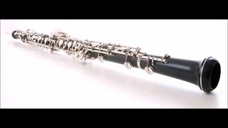 Mozart Oboe Quartet for Clarinet Quartet Movement 1 [upl. by Ingold]