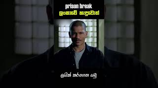 Prison Break season 6 Sri Lanka 😂 කන්දකාඩු [upl. by Rudolph]