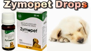 Zymopet For Dogs  Dog Digestive System  Happypet [upl. by Ojoj]