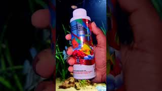 MICROLIFES2 Compulsory medicine for all fishes Good for all type of aquariums [upl. by Delwyn196]