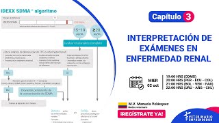 Masterclass 3 Interpretación de examenes en enfermedad renal [upl. by Laehplar]