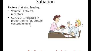 Regulation of Satiety and Satiation [upl. by Nyrol]