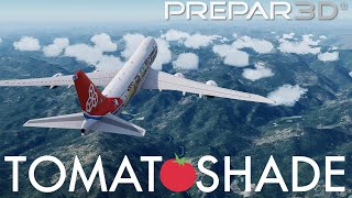 TomatoShade Complete amp Easy Setup Guide for P3D V4X [upl. by Afaw176]