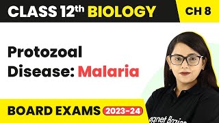 Protozoal Disease Malaria  Human Health amp Disease  Class 12 Biology Chapter 8 202223 [upl. by Elsi]