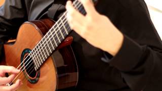 Patrik Kleemola plays Leo Brouwer´s Estudio 18 Estudios sencillos [upl. by Maybelle]