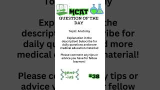 MCAT Question of the Day 38 mcat medicalexam [upl. by Nicki]