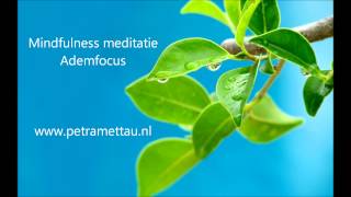 Mindfulness meditatie  Ademfocus [upl. by Janos]