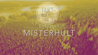 Drevjakt Misterhult Jaktprov och älg till slaktboden [upl. by Audras747]