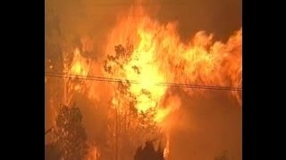 Blue Mountains Wildfire January 1994 [upl. by Rayshell]