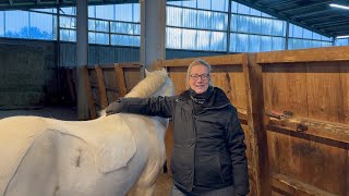 A day with TheHorseSeller  ICELANDIC HORSE DREAMS  S1E4 [upl. by Aube634]