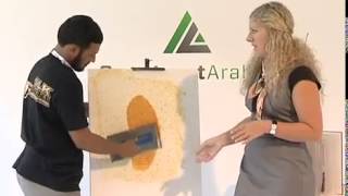 SILK PLASTER liquid wallpaper live demonstration on BIG5 2012 in Dubai [upl. by Airan]