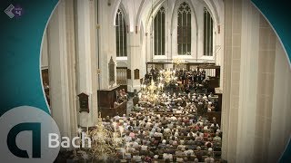 Bach Hohe Messe  Live Concert HD  Daniel Reuss  Capella Amsterdam  Il Gardellino [upl. by Ahsiea]