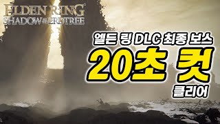 엘든 링 DLC Elden Ring DLC  DLC 최종 보스 20초 컷  Shadow of the Erdtree final boss 20 sec Kill [upl. by Ahseekat]