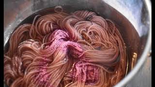 Magic with Brazilwood Natural dyeing [upl. by Eeclehc626]